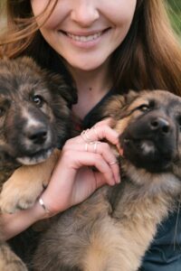 German Shepherd Puppies: Everything You Need to Know