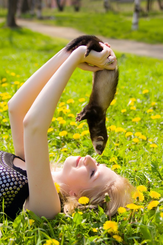 Woman holding a Ferret